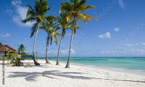 Cocotiers Plage De Sable Blanc Stock Photo And Royalty