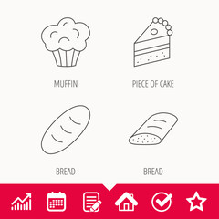 Sweet muffin, cake and bread icons. Piece of cake linear sign. Edit document, Calendar and Graph chart signs. Star, Check and House web icons. Vector