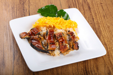 Unaju - eel with rice