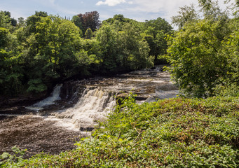 Fototapeta na wymiar The Middle Falls, Aysgarth waterfalls on beautiful summers day at Aysgarth, Leyburn, North Yorkshire, UK