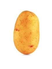 Raw unpeeled potato on white background