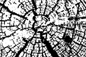 Obraz premium Old Wood rings saw cut tree trunk background. Vector illustration.