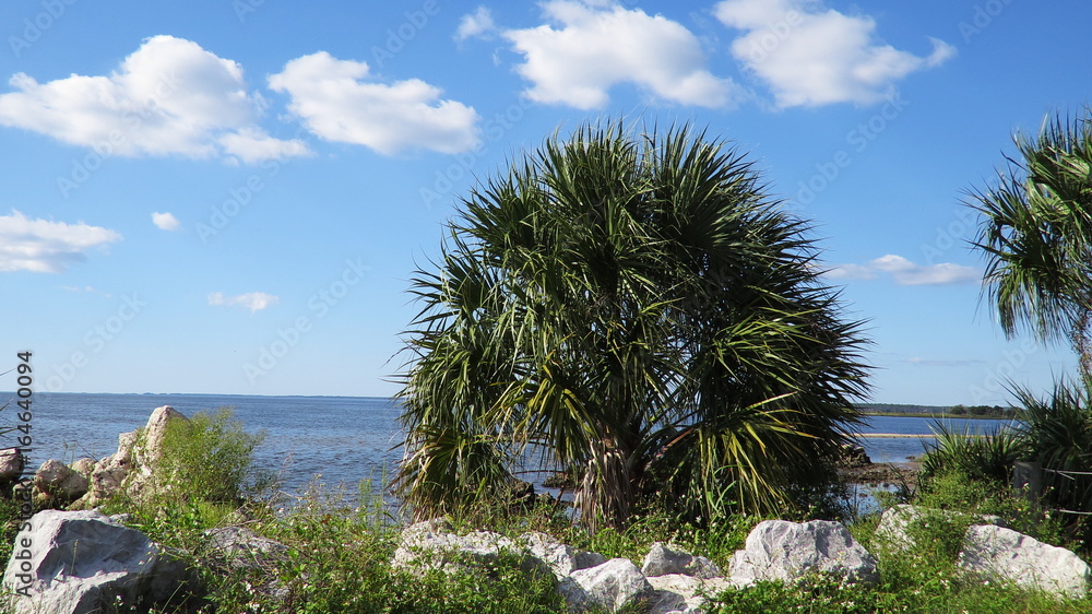 Wall mural keaton beach $1