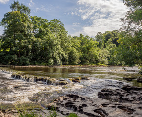 The Lower Falls, Aysgarth waterfalls on beautiful summers day at Aysgarth, Leyburn, North Yorkshire, UK