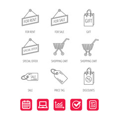 Shopping cart, gift bag and sale coupon icons. Special offer label linear signs. Discount icon. Report document, Graph chart and Calendar signs. Laptop and Check web icons. Vector