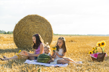 Naklejka na ściany i meble Young happy children sitting on the field, behind haystack, having picnic . Summer vacation.