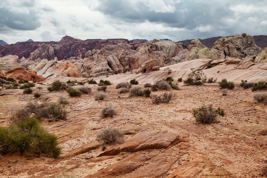 Spectacular landscape of desert at Valley of Fire State Park, USA