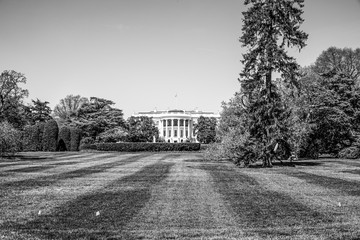 Presidents Park at the White House in Washington DC