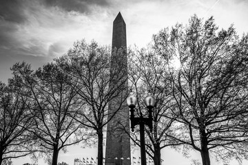 Washington Monument in the backlight