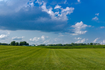 Fototapeta na wymiar Indiana Farmland