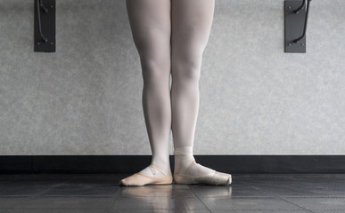 The evolution of a ballet dancer from canvas, to pointe 