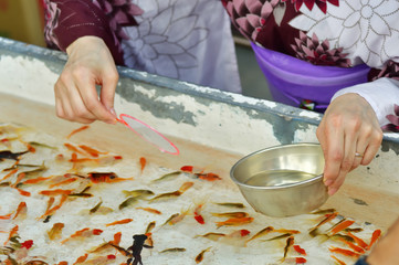 浴衣で金魚すくい