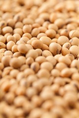 Soybean.