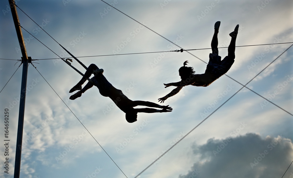 Wall mural circus trapeze artist