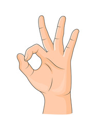 Human showing okay hand gesture. Okay hand sign isolated on white background. Vector illustration.