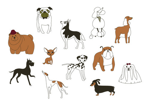 Dog breeds. Animal symbol of 2018 on the eastern calendar. Icons of cute doggys isolated on white background. Set of vector illustrations.
