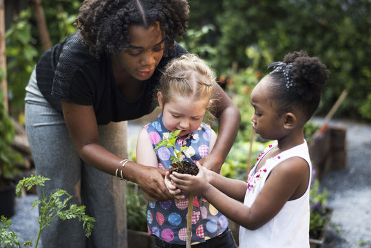 Teacher And Kids School Learning Ecology Gardening