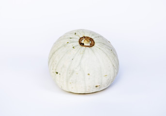 Closeup of fresh white pumpkin on white background