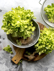 Aerial view of organic green oak salad vegetable