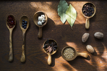 Variety of spice on grunge background