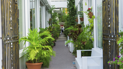 Island. Saint Martin. Philipsburg