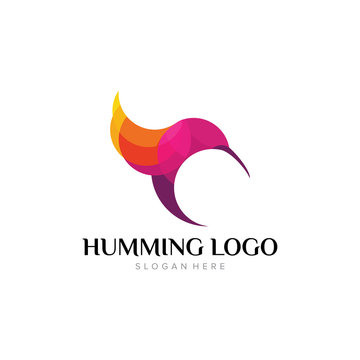 Hummingbird Logo Template Design Vector, Emblem, Design Concept, Creative Symbol, Icon