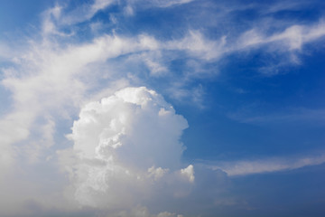 Obraz premium Cumulonimbus clouds white that resemble mushrooms in the blue sky befor a storm and rain.