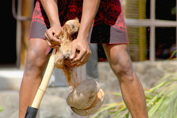 Close up image of a coconut being shucked