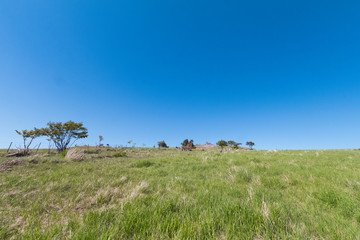 Fototapeta premium Beautiful landscape mountain view of Utsukushigahara is one of the most important and popular natural place in Nagano , Japan.