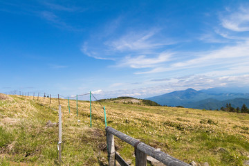Fototapeta na wymiar Beautiful landscape mountain view of Utsukushigahara is one of the most important and popular natural place in Nagano , Japan.