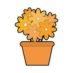 isolated cute flowers icon vector illustration graphic design