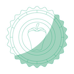 isolated apple round icon icon vector illustration graphic design