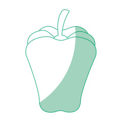 isolated cute pepper icon vector illustration graphic design