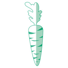 isolated cute carrot icon vector illustration graphic design