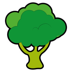 isolated cute cauliflower icon vector illustration graphic design