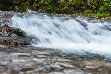 Fototapeta premium Stream Flowing Through Rocks in forest.