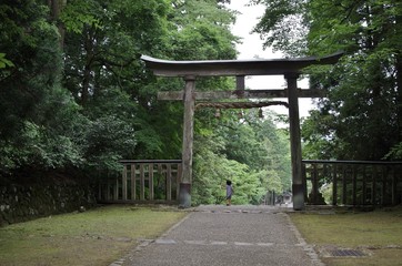 苔で有名な福井県勝山市の平泉寺白山神社