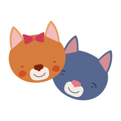 colorful caricature faces of cat couple animal happiness expression vector illustration