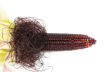 Corn shape of a penis