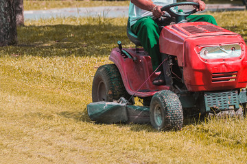 Obraz premium The gardener is using a lawn mower