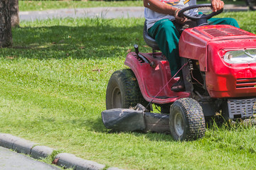 Obraz premium The gardener is using a lawn mower