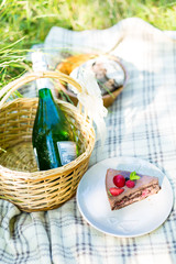 Summer picnic in the park