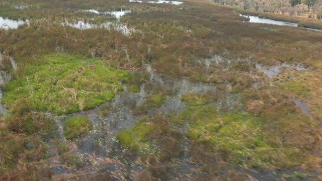 Flying abobve the Okavango Delta (Botswana; 4k footage)