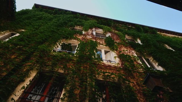 Facade of a medieval house in Rome. Covered with ivy. Wide lens shot
