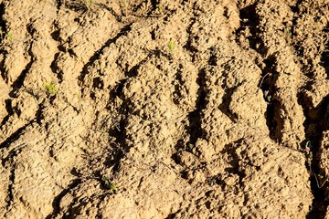 Climate change and unattended wasteland