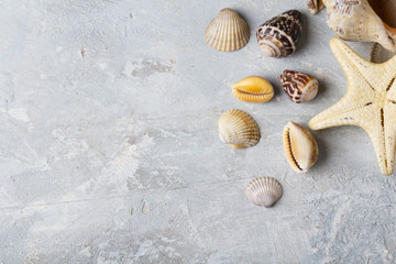 Seashells Shell stones Vintage background
