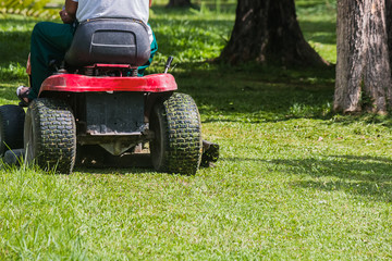 The gardener is using a lawn mower