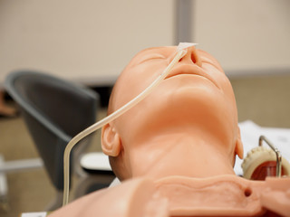 Close-up detail of a training dummy with a nasogastric (NG) tube secured with tape in the right nostril. Healthcare and education concept. - 164662220