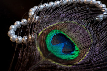 Pearls and Peafowl Feather