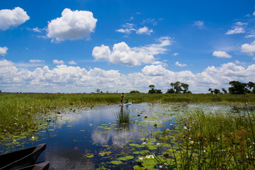 Mokoro (traditional boat) in Okavango Delta UNESCO World Heritage Site, Maun, Botswana
